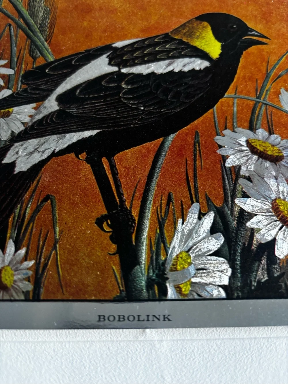 Set of 4 Metallic Prints of Birds Mounted on Backing - 7